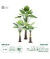 GloboStar® Artificial Garden TARO SET 20089 Τεχνητό Διακοσμητικό Σετ Φυτών Κολοκασία A:Υ300cm B:Υ210cm C:Υ160cm